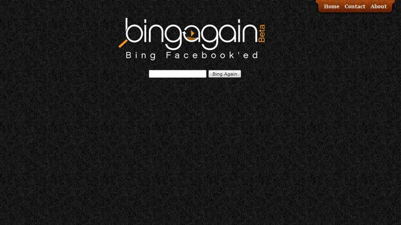 Bingagain-for-Website
